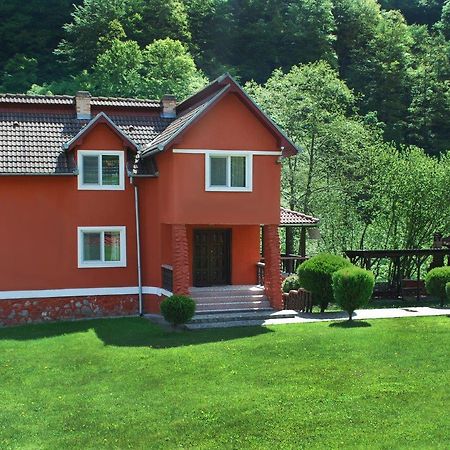 Casa Retezat Villa Rîu de Mori Eksteriør billede