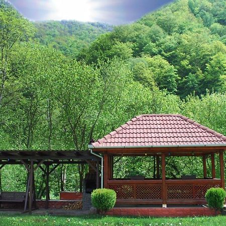 Casa Retezat Villa Rîu de Mori Eksteriør billede