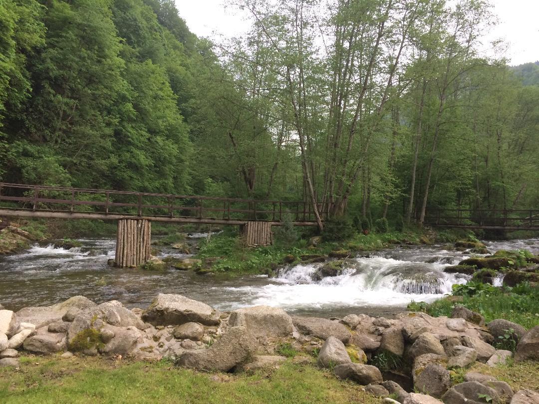 Casa Retezat Villa Rîu de Mori Eksteriør billede