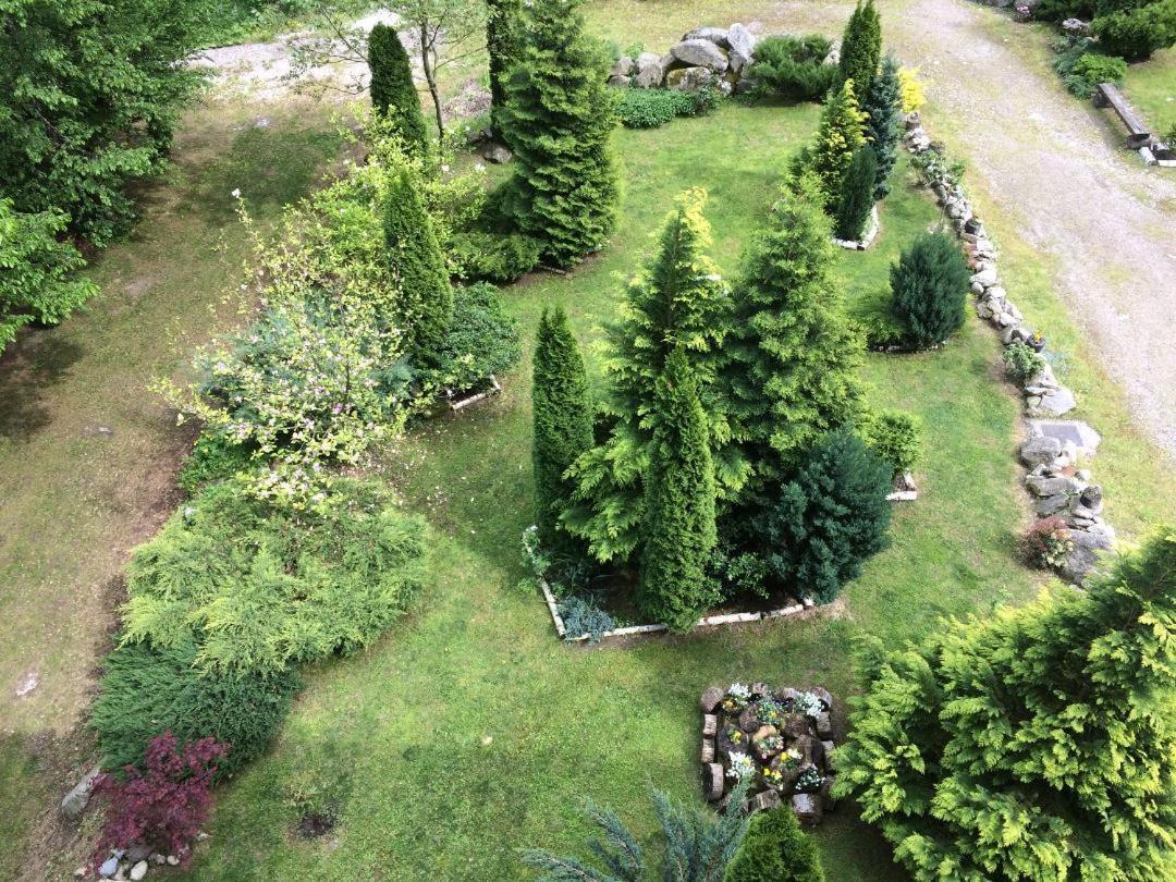 Casa Retezat Villa Rîu de Mori Eksteriør billede